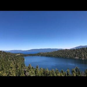 Meet your Posher, Elisa